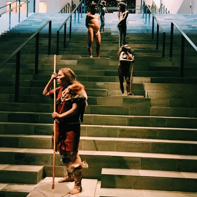 foto af Moesgaard Museum